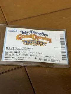 激レア☆ディズニーチケットコレクション 2025年最新】ディズニーチケットコレクターの人気アイテム