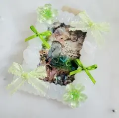 【花リボンシリーズ】黄緑 硬質ケース ホイップデコ トレカケース B8