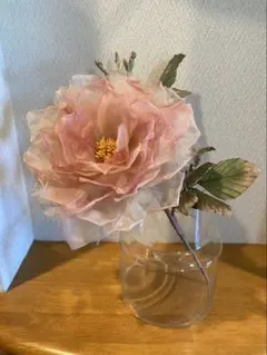 透き通った大輪の薔薇のサムネイル