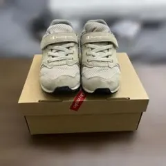 Item thumbnail for item 933c4dba-5e81-4f6b-9518-2cf5d4d24a22