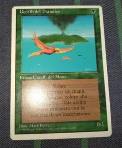 2026年最新】極楽鳥 mtgの人気アイテム - メルカリ