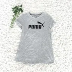 PUMA プーマ Tシャツ 【M】 グレー ビッグロゴ デカロゴ 半袖