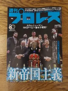 2026年最新】新日本プロレス全史 三十年激動の軌跡の人気アイテム