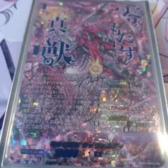 2026年最新】ブラグドマイヤー secの人気アイテム - メルカリ