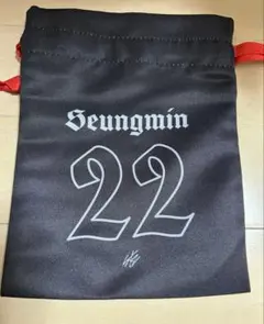 straykids スキズ　VRグッズ ランダム巾着ポーチ　スンミン　新品