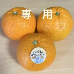 ⭐️あっちゃん様 専用⭐️