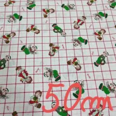 LUCIANラガディアン＆アンディ クリスマスチェック生地　白