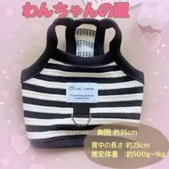 春の犬服　ハーネス　キャミ　M　ペット服　犬好き　お散歩　ボーダー　春服