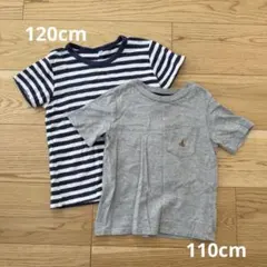 Tシャツ 2枚セット
