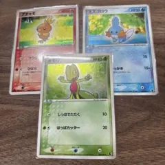 アチャモ キモリ ミズゴロウ 第1弾構築済みスターターデッキADV
