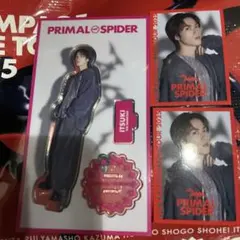 藤原樹 アクリルスタンド フォトカード 3点セット