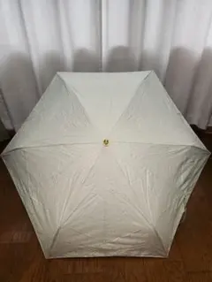 Item thumbnail for item 35591b6a-9d7e-4f5b-8062-3f192bf598c3