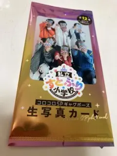 コロコロコミック　付録　私立すとぷり小学校　生写真カード　ランダム