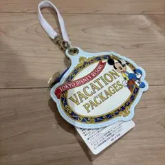 【未使用】ディズニーランド　パスケース　ミッキーマウス