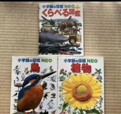 小学館の図鑑NEO ３冊
