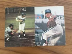 Item thumbnail for item 916faf1d-c93d-4051-bfe9-88b82d0478f5