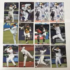 プロ野球チップス カード 千葉ロッテマリーンズ まとめ売り
