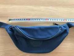 LACOSTEのウエストポーチ（ダブルファスナー付）