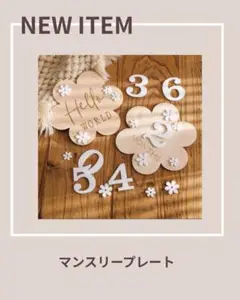 木目調の月齢プレートセット