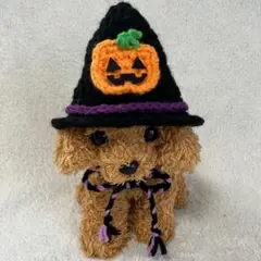 ハロウィン♥魔女のトンガリ帽子♥カボチャ♥小型犬用帽子・猫用帽子
