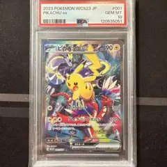 ポケモン WCS 2023 まとめ売り 10点セット♡即日発送可能♡早い者勝ち♡ ポケモンコイン＆ダメカンサイコロ＆VSTARマーカーセット