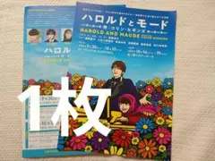 1枚★ハロルドとモード　フライヤー　七五三掛龍也　TravisJapan　チラシ