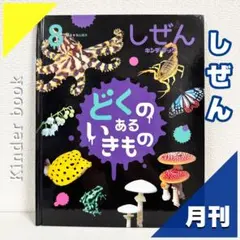 Item thumbnail for item 36b012f6-6eeb-40f8-bcb4-2ca52141053a