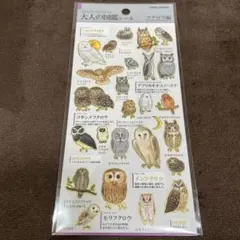 Rizia様 リクエスト 3点 まとめ商品