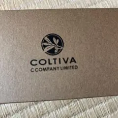 COLTIVA レザー小物入れ グリーン