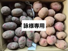 詠様専用！じゃがいも4種セット計20キロ