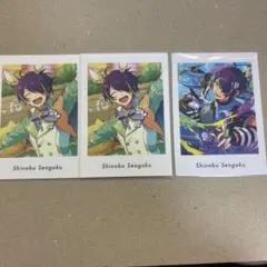 ぱしゃっつ　仙石忍セット