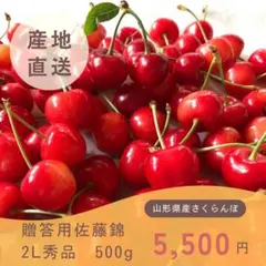 クール便送料込み】山形県産さくらんぼ 産地直送 贈答用 佐藤錦 2L