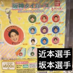 阪神タイガース　近本選手　坂本選手