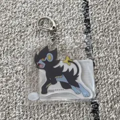ポケモン レントラー アクリルキーホルダー