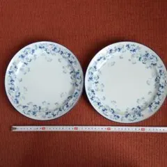 ノリタケ 日本の食器シリーズ 丸大皿2枚 直径24.5cm