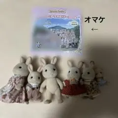 難あり　シルバニアファミリー　ウサギ　クマ？　人形セット　DVDのオマケ付き