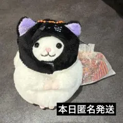 【現在最安値】カルディ チンチラ 黒猫 キャット