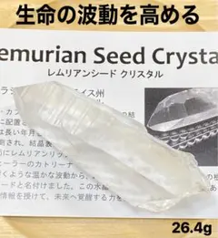 ★最終お値下げ価格【１４０g 大 】★レムリアンシードクリスタル★初期鉱山原石★ レムリアンシードクリスタル - 吉祥寺の天然石のお店『Seven Wishes』