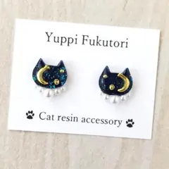 【yf.1369】夜空　猫ピアス　　　可愛い　綺麗　月　レジン　大人可愛い