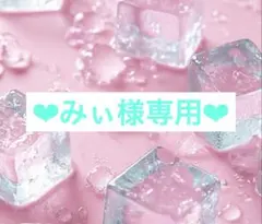 みぃ様専用