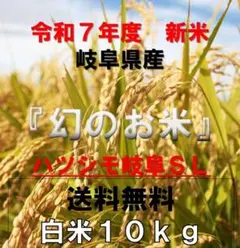 my cacao様専用令和7年度 新潟県新潟市産 コシヒカリ 10kg - メルカリ