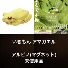 いきもん ネイチャーテクニカラー アマガエル ガチャ アルビノ マグネット