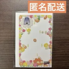 スキズ skzoo popup 2nd 購入特典 トレカ ウルフチャン