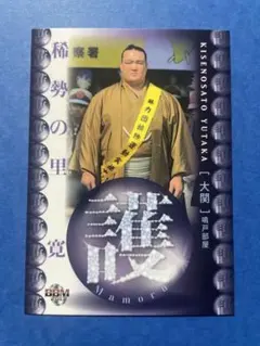 BBM 白鵬 鶴竜 稀勢の里 3 横綱 相撲 カード セット 検 力士 格闘技