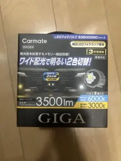 Carmate BW584 LEDフォグランプ S35000GSDのサムネイル