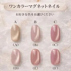 マグネット　ネイルチップ　選べる6色　4種チップ　フルサイズ　20本セット