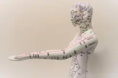 Item thumbnail for item 244e0b4e-91e1-498e-acd2-aead3f3b1df6