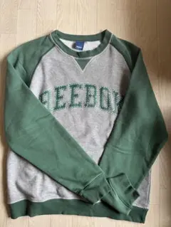 Reebok グレー/グリーン スウェットトレーナー