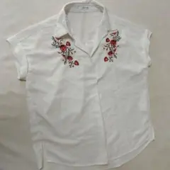 Item thumbnail for item 9fbffac5-5e42-4098-8467-f825b7a5193c