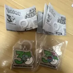 ポケモン 30周年 メタルチャームマスコット